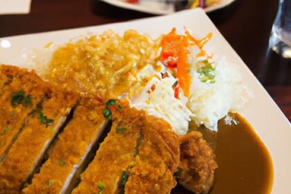 Golden Crispy Katsu: Japan’s Beloved Curry Meat Delight