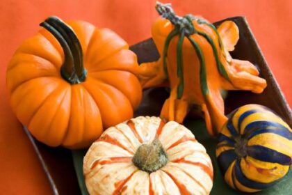 Cozy Fall Favorites: Traditions and Treats to Savor Seasonally